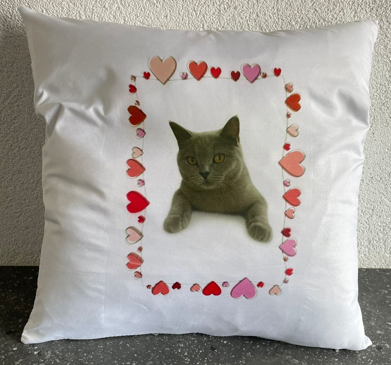 WhatsApp Image 2025-08-08 at 14.07.45